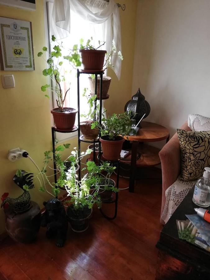 Guest House Vodolei Kotel Ngoại thất bức ảnh