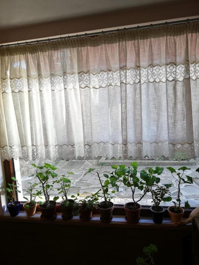 Guest House Vodolei Kotel Ngoại thất bức ảnh