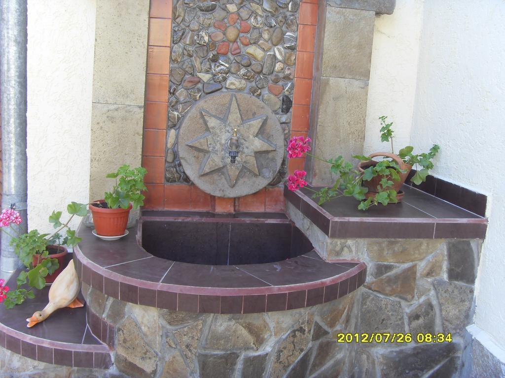 Guest House Vodolei Kotel Ngoại thất bức ảnh